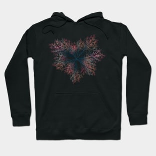 Root of Nature Hoodie